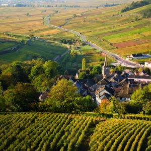 Beautiful Burgundy: (starting at $7450)